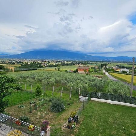 Delizioso Appartamento Collinare Limigiano Zewnętrze zdjęcie