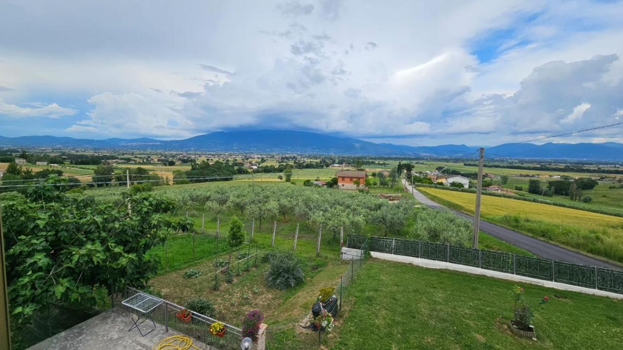 Delizioso Appartamento Collinare Limigiano Zewnętrze zdjęcie